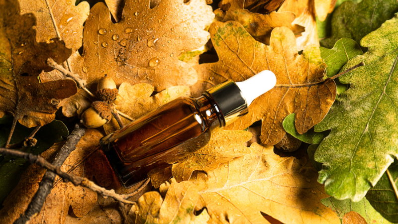 Essentiële Skincare Tips voor een Stralende Huid in de Herfst